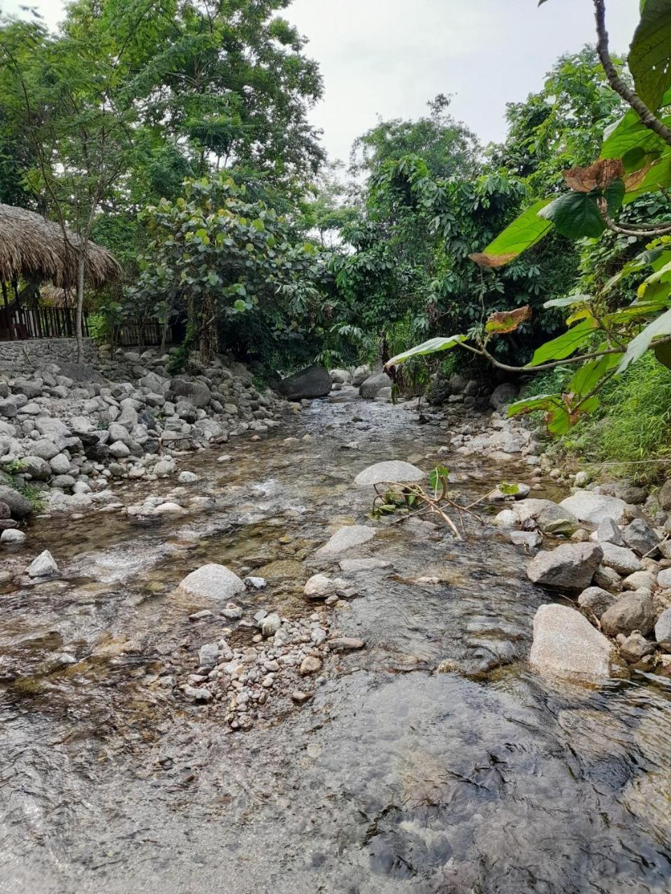 Khach San Vuon Quoc Gia Ba Be Hotel Bac Kan Luaran gambar