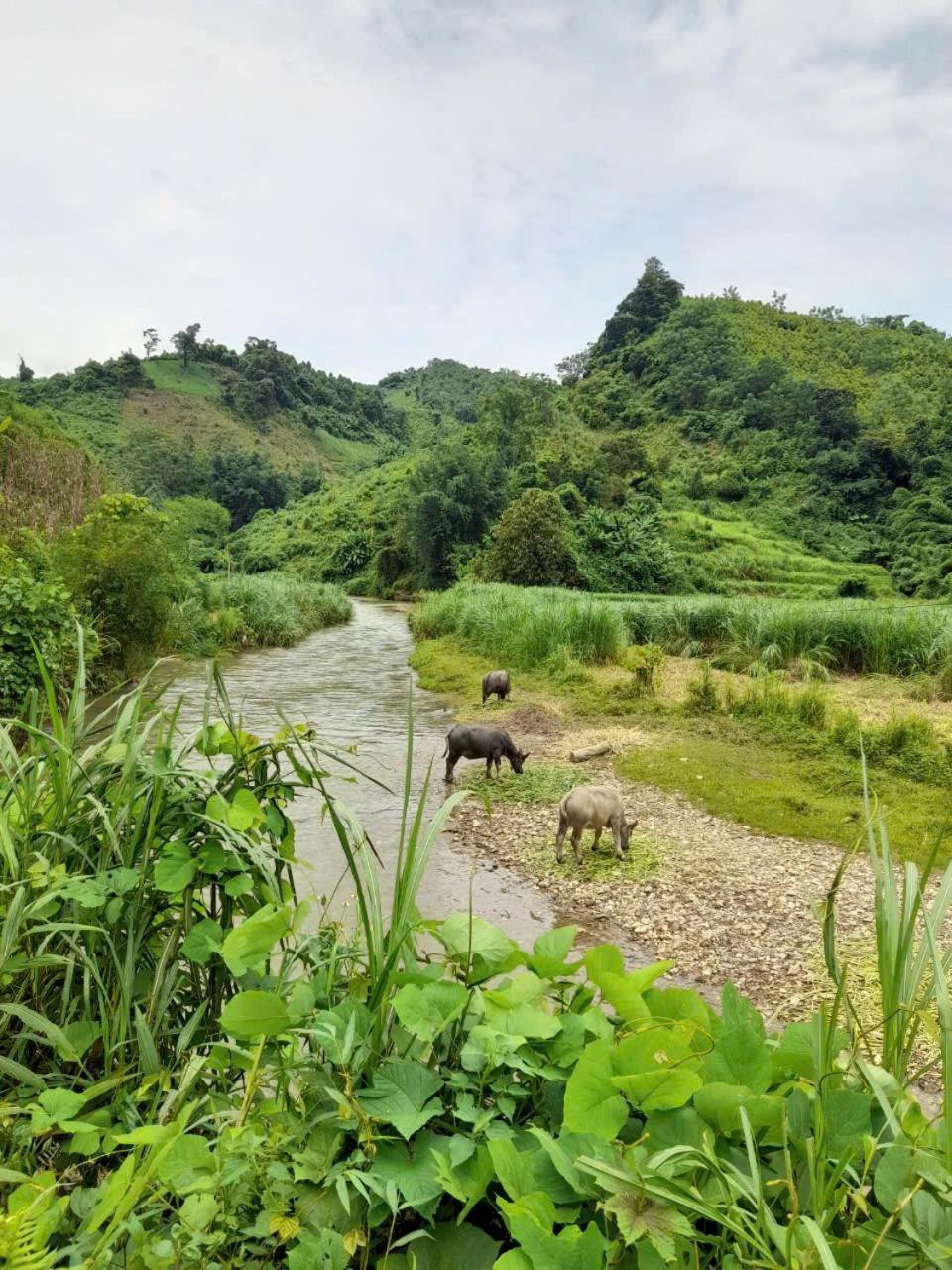 Khach San Vuon Quoc Gia Ba Be Hotel Bac Kan Luaran gambar